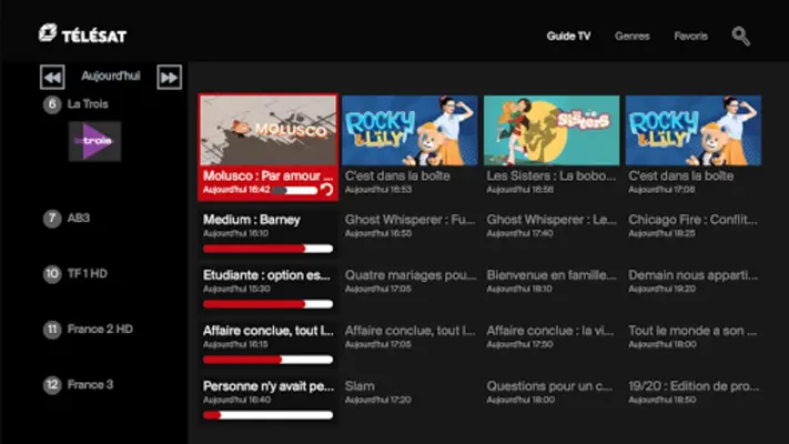 TÉLÉSAT android App screenshot 2